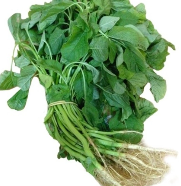 முளைக்கீரை 